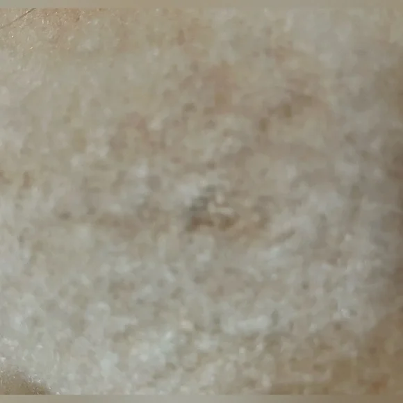 Mid-Century Wool Blanket - Picture 4 of 16